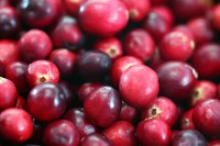 ARÁNDANOS ROJOS